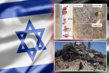 போரில் கொல்லப்பட்டுள்ள 40,000பலஸ்தீனியர்கள்: ஹமாஸ் வெளியிட்டுள்ள தகவல்