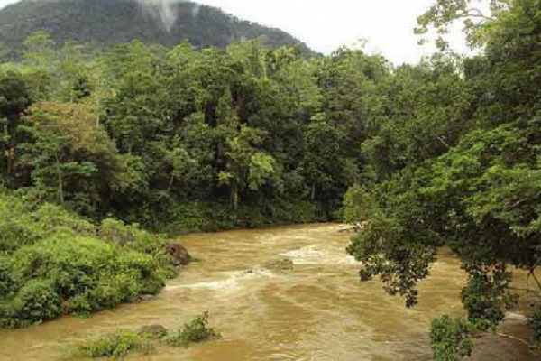 அபாய வலயமாக மாறும் களனி கங்கையை அண்மித்த பகுதிகள் ; வெளியான எச்சரிக்கை | Areas Near Kelani River Turn Danger Zone அபாய வலயமாக மாறும் களனி கங்கையை அண்மித்த பகுதிகள் ; வெளியான எச்சரிக்கை | Areas Near Kelani River Turn Danger Zone