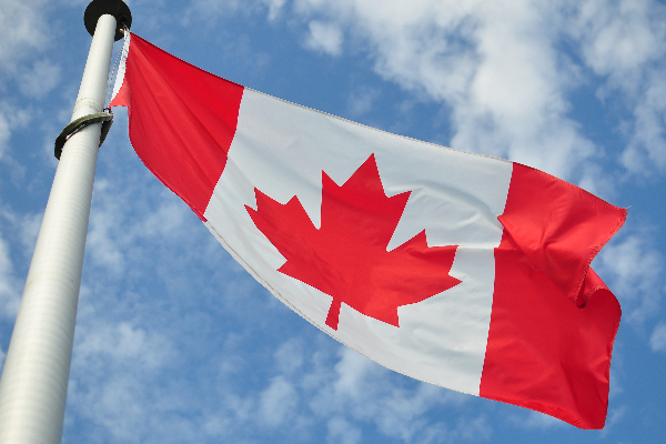 கனேடிய அரசியல்வாதிகள் தொடர்பில் வெளியான பகீர் தகவல்! | Bad News About Canadian Politicians