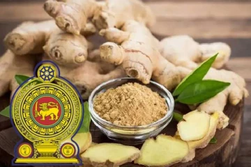 இஞ்சி இறக்குமதி தொடர்பில் வெளியான தகவல்