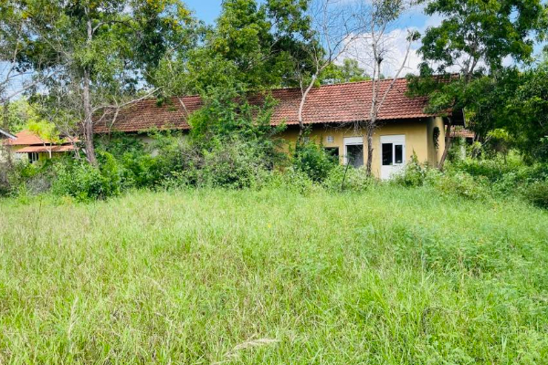 வீடுகள் இல்லை - இன்று காடு மட்டும்! 21 ஆண்டுகளாக பூட்டி கிடக்கும் சவூதி உதவி கிராமம் | Saudi Aid Village Locked Down For 21 Years வீடுகள் இல்லை - இன்று காடு மட்டும்! 21 ஆண்டுகளாக பூட்டி கிடக்கும் சவூதி உதவி கிராமம் | Saudi Aid Village Locked Down For 21 Years