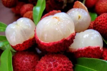 பெண்கள் இந்த பழத்தை சாப்பிட்டால் ஏற்படக்கூடிய நன்மைகள் என்ன தெரியுமா?