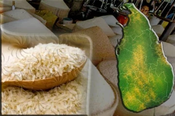 அரிசி தட்டுப்பாடு குறித்து வெளியான தகவல்