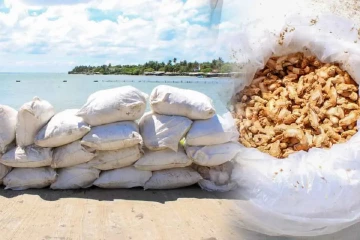 කල්පිටියේදී රුපියල් ලක්ෂ ගණනක් වටිනා වියළි ඉඟුරු තොගයක් නාවික හමුදා භාරයට