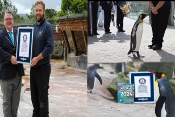 உலகின் மிக உயர்ந்த விலங்கான பென்குயின்!