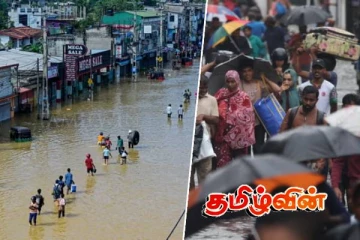 மன்னார் மாவட்டத்தில் மட்டும் பேரிடரால் மொத்தம் 26 ஆயிரம் கால்நடைகள் பலி