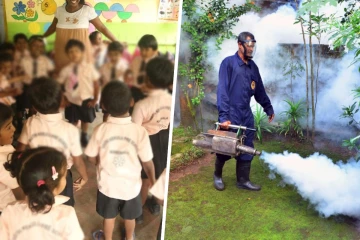 டெங்கு அச்சுறுத்தல் : முன்பள்ளி சிறுவர்கள் குறித்து வெளியான அறிவிப்பு