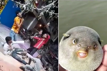 தன்னை தானே கத்தியால் குத்திக் கொண்ட இளைஞர்! மீனவர்கள் வலையில் சிக்கிய அரியவகை மீன்... இந்திய செய்திகள்