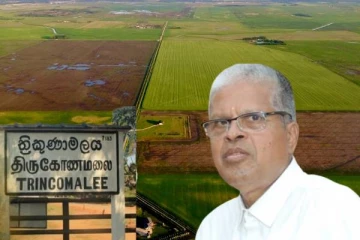 திருகோணமலையில் விவசாய காணிகள் அபகரிப்பு : குகதாசன் எம்.பி பகிரங்கம்