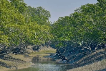 இந்தியாவின் மிகப்பெரிய காடு இரண்டு நாடுகளில் பரவியுள்ளது.., எந்த நாடு தெரியுமா?