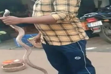 சிவபெருமான் போல விஷப்பாம்பை கழுத்தில் சுற்றி கொண்டு ஜாலியாக வலம் வந்த நபருக்கு நேர்ந்த கதி