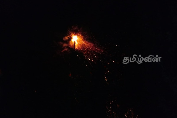 தீயில் எரிந்து நாசமாகிய பனைகள்! இளவாலையில் சம்பவம்(Photos) | Palms Destroyed By Fire Incident In Ilawalai