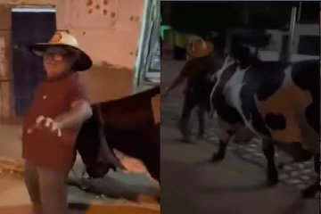 Viral video: போதையில் இருந்த உரிமையாளரை வீட்டிற்கு அழைத்துச்சென்ற காளை
