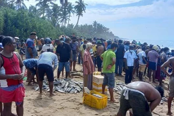 மீனவருக்கு கிடைத்த பெரும் அதிஷ்டம்! ஒரே நாளில் இத்தனை மில்லியன் வருமானம்