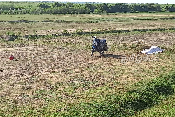 வெல்லாவெளி பகுதியில் ஆண் ஒருவரின் சடலம் மீட்பு (PHOTOS) | Dead Body Recovered In Vellaveli