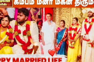 பாண்டியன் ஸ்டோர்ஸ் கம்பம் மீனா மகன் திருமணம்