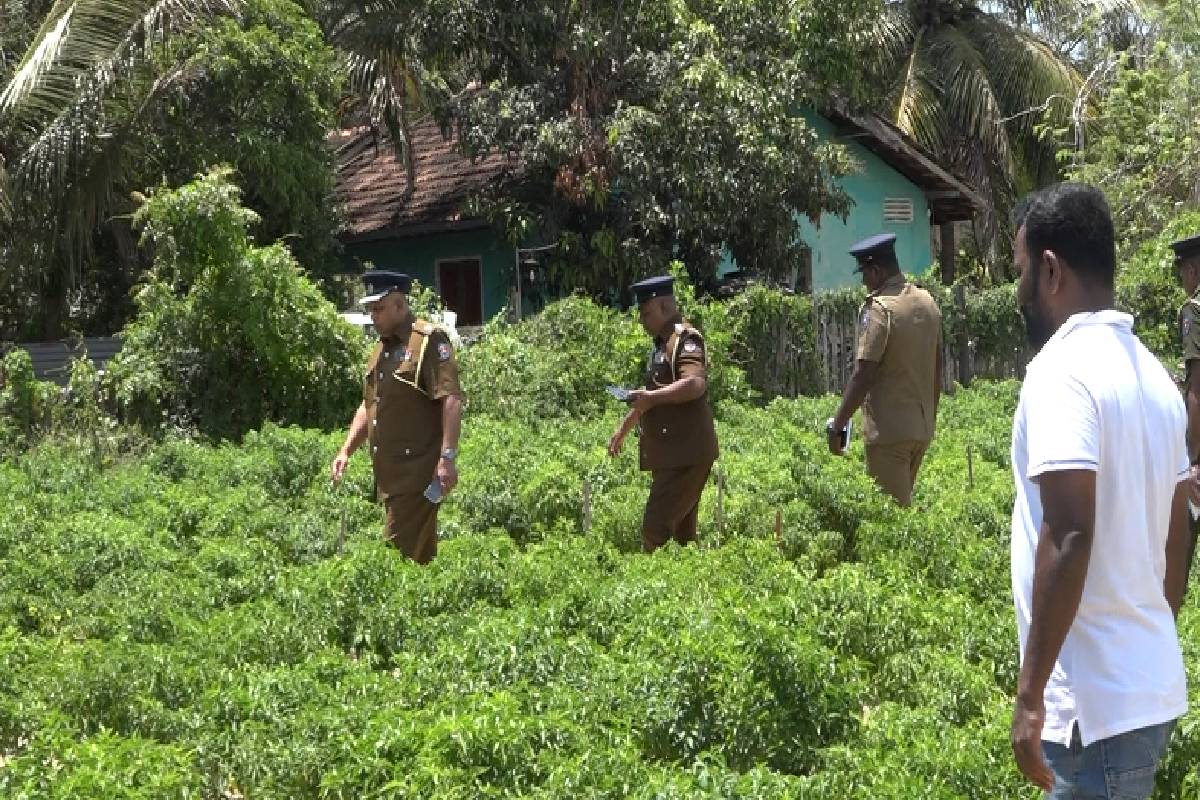 தோட்டக் குடிசையில் உறங்கிய நபர் காயங்களுடன் சடலமாக மீ்ட்பு ; பொலிஸார் விசாரணை தீவிரம் | Man Found Dead Injuries After Sleeping Garden Shed