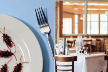 பிரித்தானியாவில் ஹொட்டல் முதலாளியை கரப்பான் பூச்சிகளை வைத்து பழிவாங்கிய சமையல்காரர்!