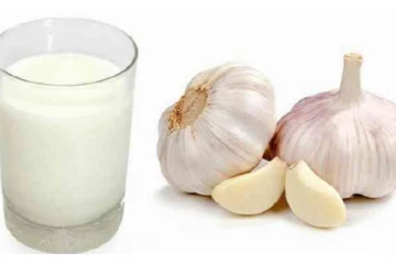 சளி, மலச்சிக்கலை தீர்க்க..இம்யூனிட்டியை அதிகரிக்க…பூண்டு பால் - செய்வது எப்படி?