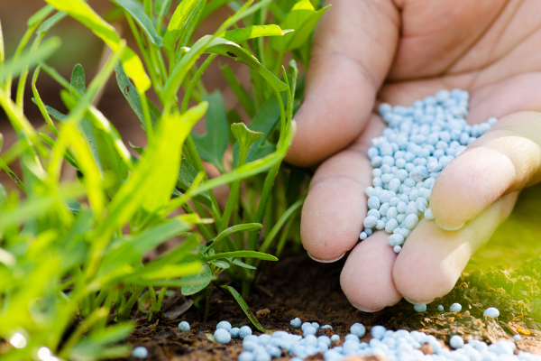 4,500 ரூபாவால் உரம் விலை குறைப்பு ; விவசாயிகள் மகிழ்ச்சி | Fertilizer Price Reduction By Rs 4 500