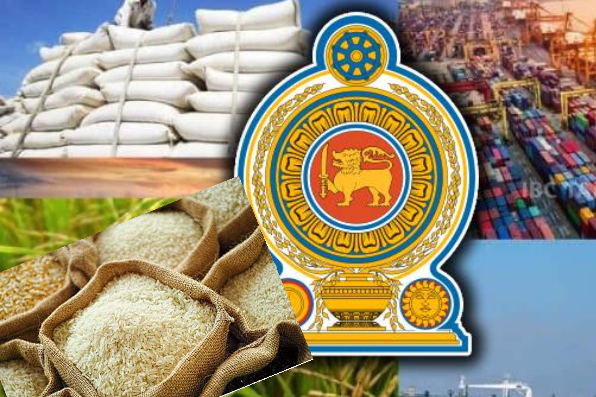 அரிசித் தட்டுப்பாட்டை சமாளிக்க இறக்குமதி - கிடைத்த அமைச்சரவை அனுமதி | Cabinet Approves Rice Imports Rice Varieties அரிசித் தட்டுப்பாட்டை சமாளிக்க இறக்குமதி - கிடைத்த அமைச்சரவை அனுமதி | Cabinet Approves Rice Imports Rice Varieties