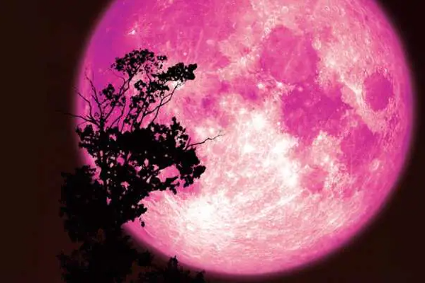 இந்தியாவில் இன்று நள்ளிரவு வானில் தோன்ற உள்ள ‘பிங்க் மூன்’ - விஞ்ஞானிகள் தகவல் - மக்கள் ஆர்வம் | Pink Moon Today Night Scientists Informed