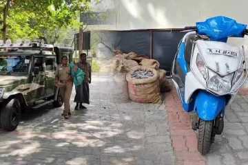 இந்தியாவில் இருந்து இலங்கைக்கு கடல் அட்டைகளை கடத்தவிருந்த நபர் கைது