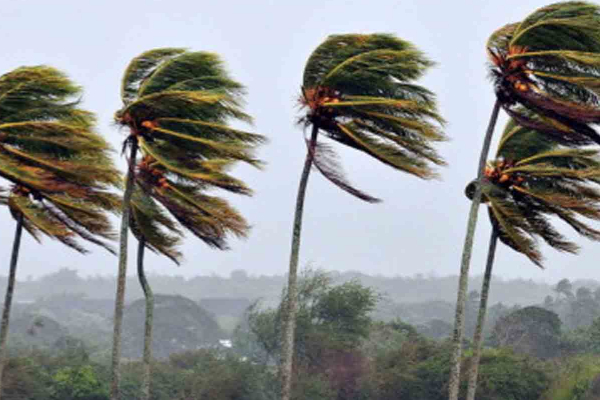 வெளியே செல்ல வேண்டாம் : மக்களுக்கு விடுக்கப்பட்டுள்ள எச்சரிக்கை | Meteorology Dept Warns Of Severe Lightning Strikes