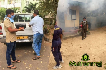 சம்மாந்துறை பிரதேசத்தில் நுளம்பு ஒழிப்பு நடவடிக்கை ஆரம்பம்