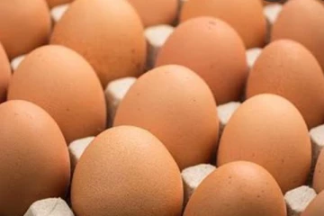 බිත්තරයක් අලෙවි කළ යුතු මිල ගැන ආ එකඟතාවය..