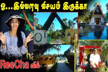 இலங்கையில் இப்படி ஒரு இடமா? கண்ணை கவரும் அற்புதமான சுற்றுலா தளம் (வீடியோ)