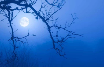 சூப்பர் மூன்! இன்று வானில் நிகழப்போகும் அதிசயம்