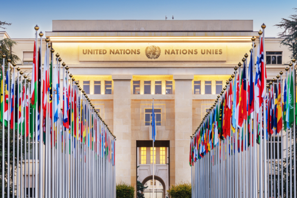 ஐ.நாவில் நிறைவேறிய ட்ரம்பின் காசா தீர்மானம்.! | Donald Trump S Gaza Resolution