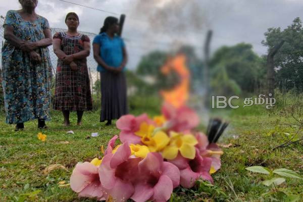 ஆலங்குளத்தில் மாவீரர் நினைவு நாளுக்கான சிரமதான பணிகள் தீவிரம்!(படங்கள்) | Maaveerar Memorial Day Clean Works