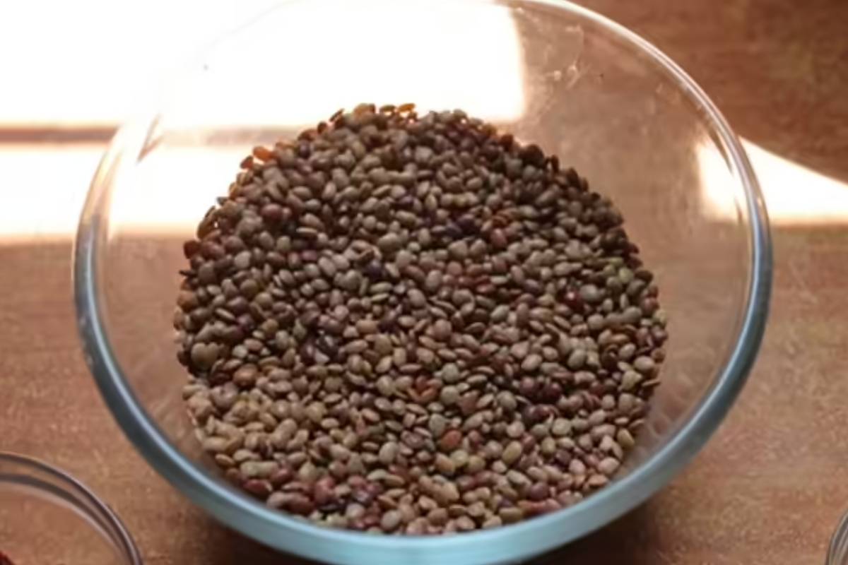 ஆரோக்கியத்தை காக்கும் கொள்ளு பருப்பு ; தினமும் ஏன் சாப்பிட வேண்டும் தெரியுமா? | Benefits Of Adding Dal To Your Daily Diet ஆரோக்கியத்தை காக்கும் கொள்ளு பருப்பு ; தினமும் ஏன் சாப்பிட வேண்டும் தெரியுமா? | Benefits Of Adding Dal To Your Daily Diet