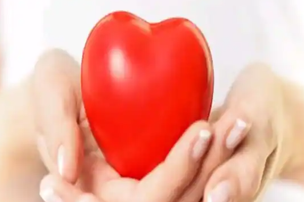 மன அழுத்தம் முதல் இதய ஆரோக்கியம்வரை..... மக்கா சோளத்தில் ஒளிந்துள்ள எண்ணற்ற பயன்கள்! | Countless Benefits Hidden In Corn மன அழுத்தம் முதல் இதய ஆரோக்கியம்வரை..... மக்கா சோளத்தில் ஒளிந்துள்ள எண்ணற்ற பயன்கள்! | Countless Benefits Hidden In Corn