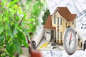 வீட்டில் துளசி செடி வைத்திருக்கின்றீர்களா? அப்போ இதையெல்லாம் கட்டாயம் கவனீங்க