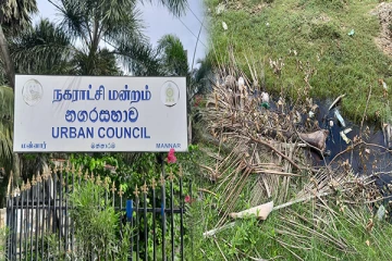 மன்னார் நகர பகுதியில் நிறுத்தப்பட்டுள்ள திண்மக்கழிவு அகற்றும் பணி (Photos)