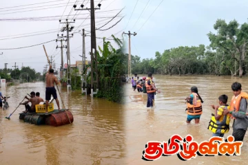 சுற்றாடல் அமைச்சு வெளியிட்ட தகவல்