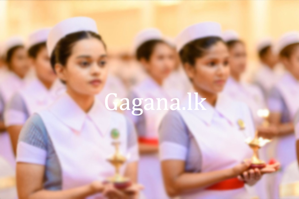 නවක හෙද නිලධාරීන්ට පත්වීම් ප්‍රදානය හෙට.. | New Nurses Will Be Appointed Tomorrow
