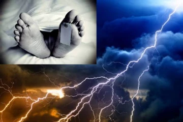 மின்சாரம் தாக்கியதில் தச்சு தொழிலாளி பலி!