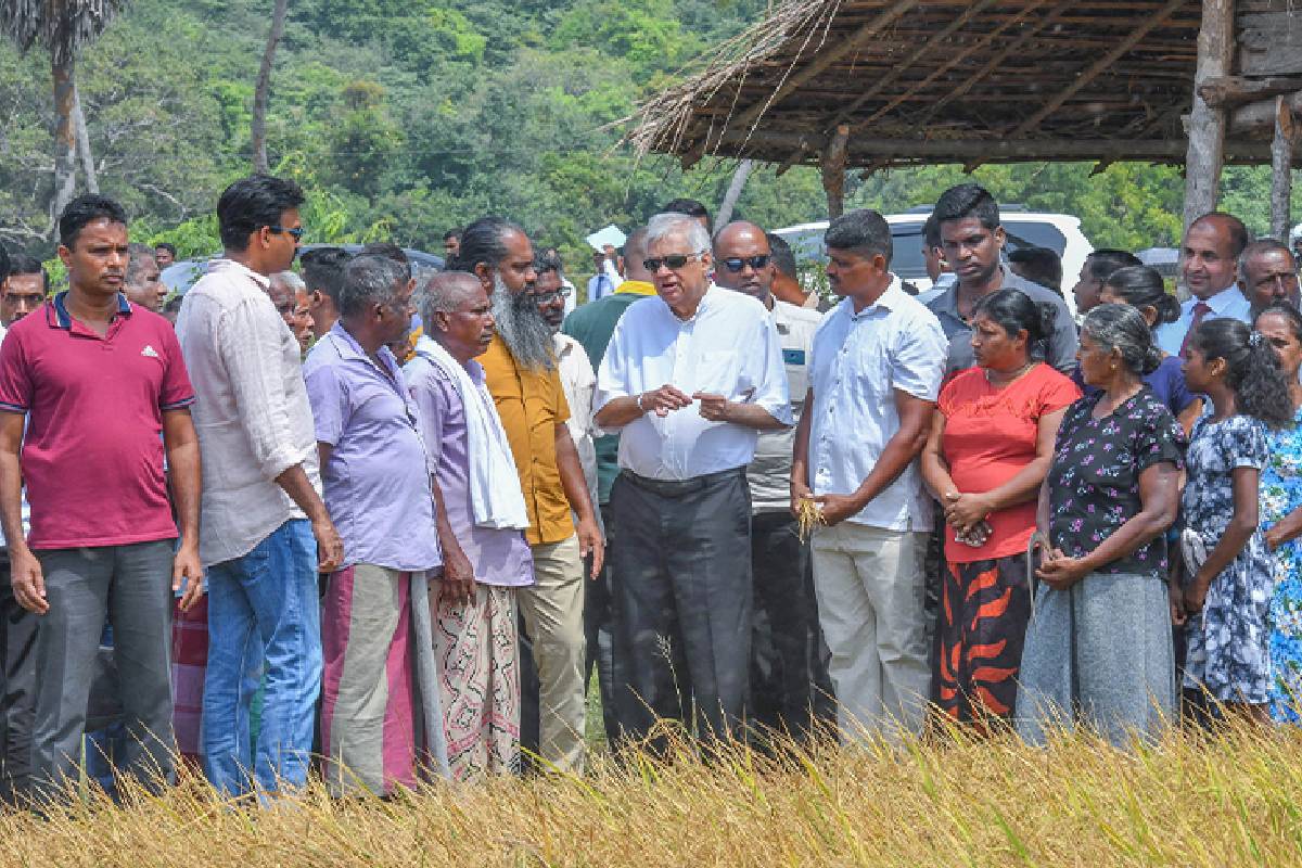 மயிலத்தமடு காணி விவகாரத்தில் அரசின் நகர்வு! எழுந்துள்ள சந்தேகம்.. | Is Government Trying Communal Nilandhan Question மயிலத்தமடு காணி விவகாரத்தில் அரசின் நகர்வு! எழுந்துள்ள சந்தேகம்.. | Is Government Trying Communal Nilandhan Question