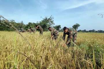 விவசாய நிலங்களுக்குள்ளும் கால் பதிக்கிறது சிறிலங்கா இராணுவம்