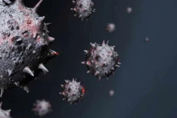 சுவிட்சர்லாந்தில் சாக்கடை நீரில் மேற்கொள்ளப்பட்ட ஆய்வு: கொரோனா தொடர்பில் தெரியவந்துள்ள உண்மை