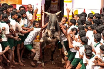 நிறுத்தப்பட்ட தச்சாங்குறிச்சி ஜல்லிக்கட்டு...கொந்தளித்த மக்கள் - தேதி அறிவித்த கோட்டாட்சியர்