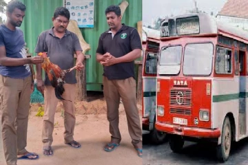 இலங்கையின் தேசிய பறவையை கொன்ற போக்குவரத்து சபை சாரதி,நடத்துனர் கைது