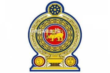 රාජ්‍ය සේවයට බඳවා ගැනීමක් සම්බන්ධයෙන් විශේෂ දැනුම්දීමක් - ඒ සඳහා මේ දේ කරන්න..