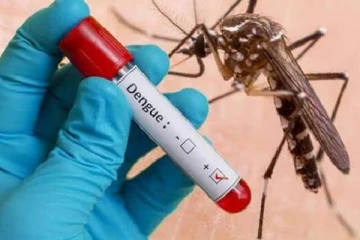 இலங்கையில் டெங்கு நோயாளர்களின் எண்ணிக்கை தொடர்பில் வெளியான தகவல்