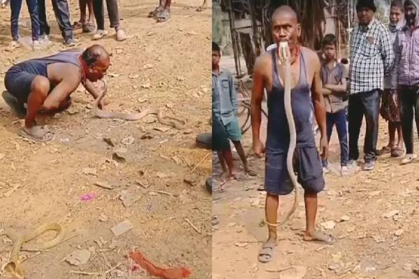 viral video: வாயாலேயே பாம்பு பிடித்த நபர்! தாறுமாறாக விமர்சிக்கும் நெட்டிசன்கள் | Odisha Man Uses Mouth To Catch Snake Video Viral viral video: வாயாலேயே பாம்பு பிடித்த நபர்! தாறுமாறாக விமர்சிக்கும் நெட்டிசன்கள் | Odisha Man Uses Mouth To Catch Snake Video Viral
