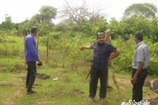 மேய்ச்சல் தரை காணிகளை முந்திரிகை செய்கைக்கு வழங்கப்பட்டுள்ளதை தடுத்து நிறுத்துமாறு கோரிக்கை